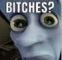 Bitches