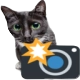 ch_acatcamera Discord emoji