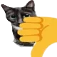 ch_acatthumbsdown