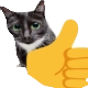 ch_acatthumbsup Discord emoji