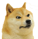 doge_huhh Discord emoji