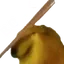 bonk