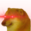 fck_boi Discord emoji