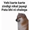 zindgi_nikal_jayegi Discord emoji