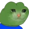 pepeSadCat
