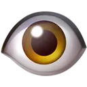 eye