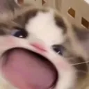 aaaa