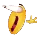 HOLYSHIT