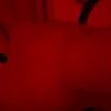 teriterihic