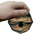 beepatting