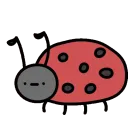 aladybug