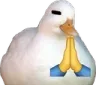 isforpray