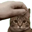 Petkeht