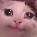 catcryCopy Discord Emoji