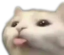 catstickingouttongueCopy Discord Emoji