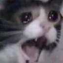 pain
