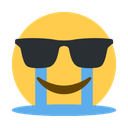 5a_cool_cry_sob Discord emoji