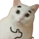 thumb_kot Discord Emoji