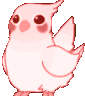 birb