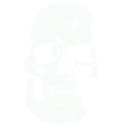 heavySkull