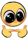 z_ce_timido