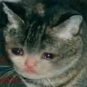 1db74a3dd9284c6d9f4c0ec77e12e639