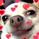 365eaa4832f04680b5492cfecca136ac