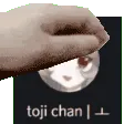 tojipet