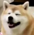 fat