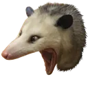 AAAAA