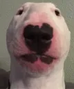 walter