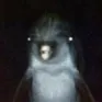 wtfdolphin