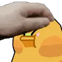 whiskerspet