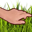 touchgrass