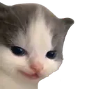 badhehe