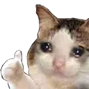 sadcatthumbsup