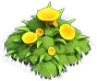 emoji_145