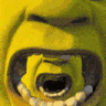 shrek1