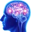 CosmicBrain