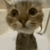 littleguygotsoaponhishea Discord emoji