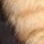 image_3 image_3