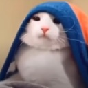 catunderblanket Discord emoji