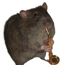 jazzrat