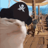 sk_piratecat