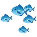 thefish thefish