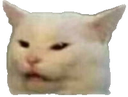 hiss Discord emoji