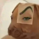 suspicion