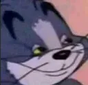 smug