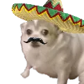 ElConcerno