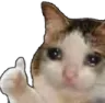 sadCat